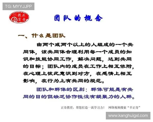 杭州排球队挑战赛点评团队协作表现的精彩瞬间与启示